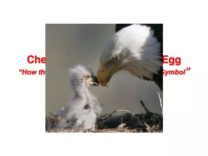 chester the nester laid an egg how the bald eagle became our national symbol