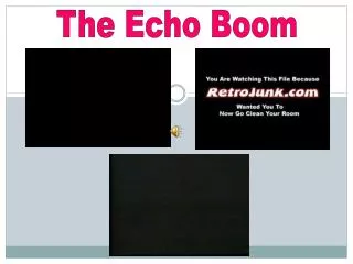 The Echo Boom