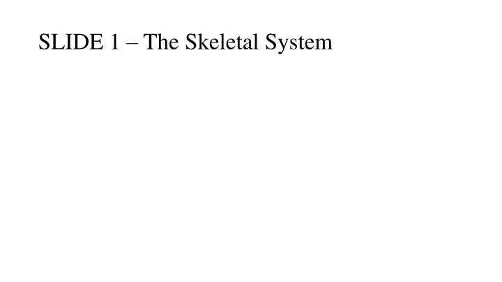 slide 1 the skeletal system