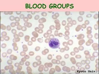 BLOOD GROUPS