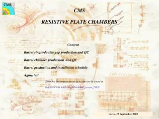 CMS RESISTIVE PLATE CHAMBERS