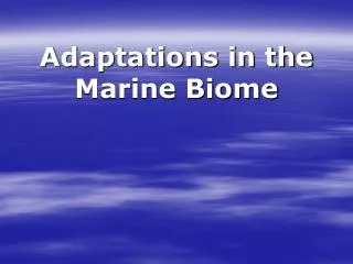 Adaptations in the Marine Biome