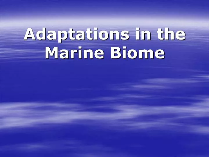 adaptations in the marine biome