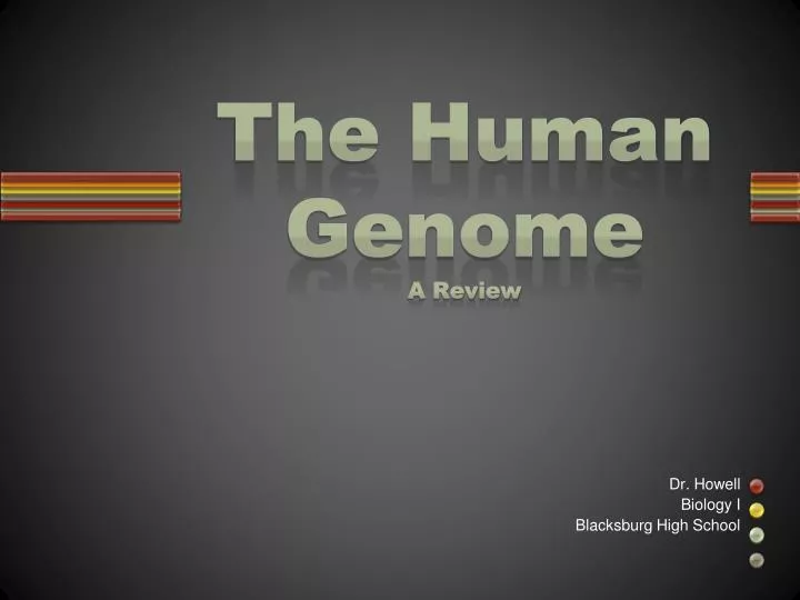 the human genome a review
