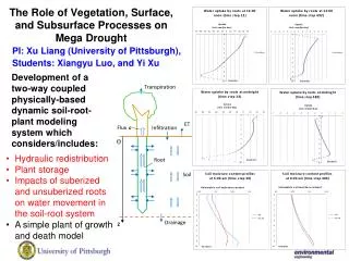 The Role of Vegetation, Surface, and Subsurface Processes on Mega Drought