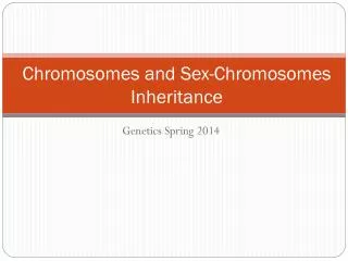 Chromosomes and Sex-Chromosomes Inheritance