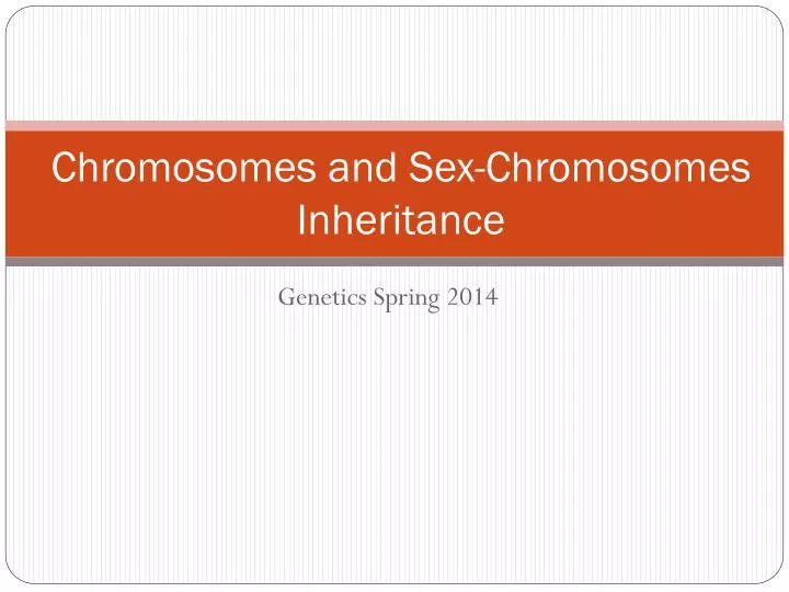 chromosomes and sex chromosomes inheritance