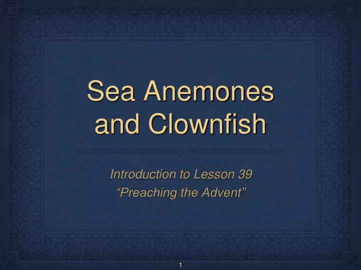 sea anemones and clownfish