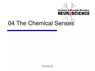 04 The Chemical Senses