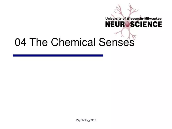04 the chemical senses
