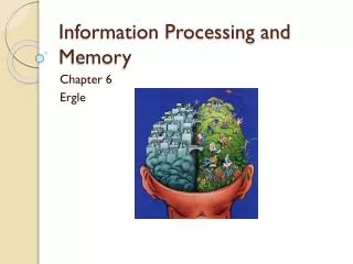 Information Processing and Memory