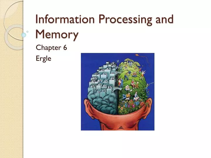 information processing and memory