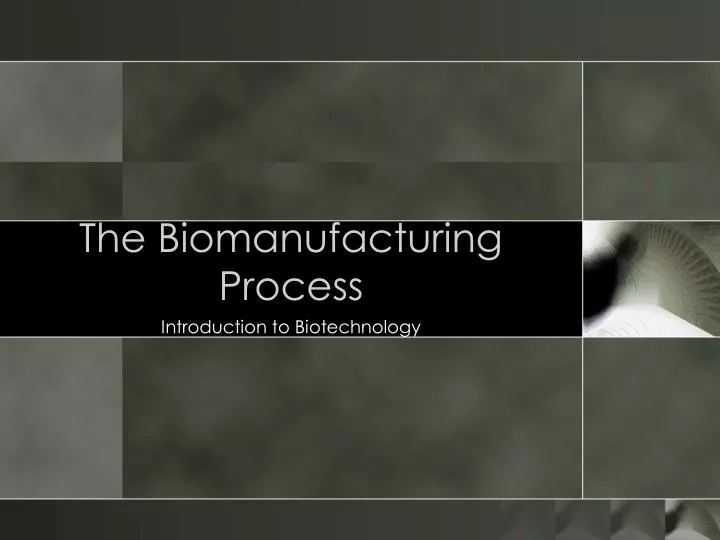 the biomanufacturing process