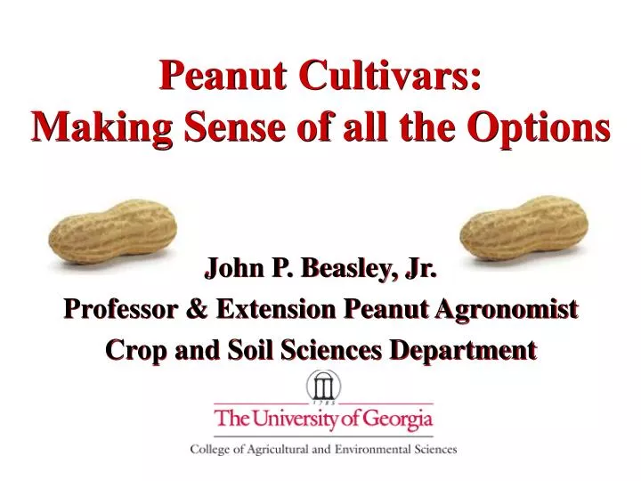 peanut cultivars making sense of all the options