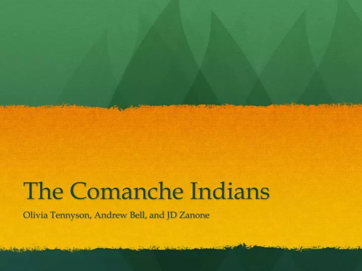 the comanche indians