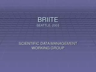 BRIITE SEATTLE, 2003