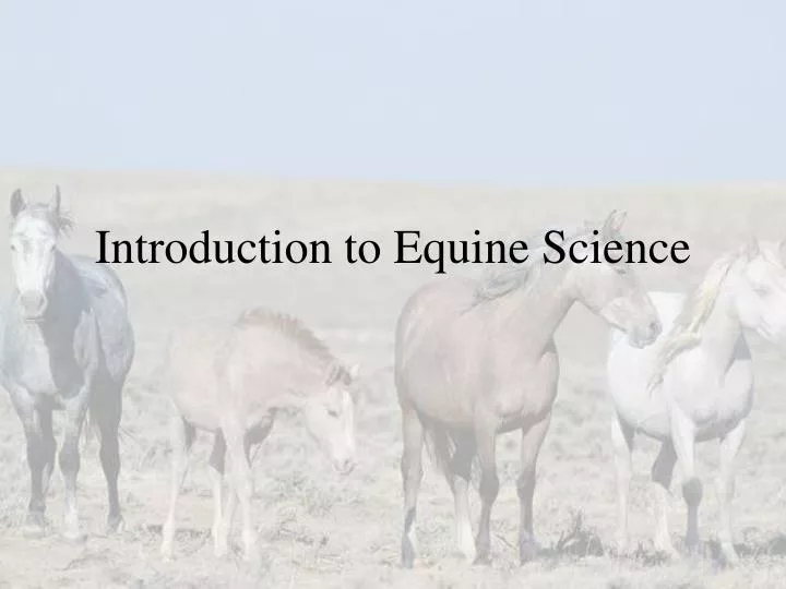 introduction to equine science