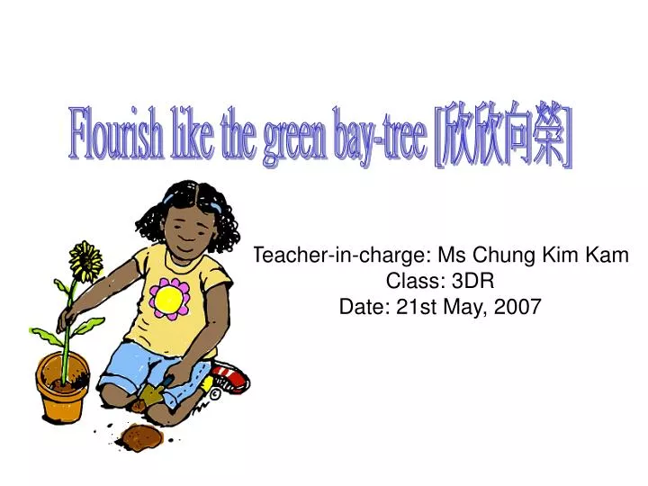 teacher in charge ms chung kim kam class 3dr date 21st may 2007