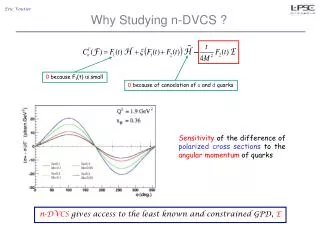 Why Studying n-DVCS ?