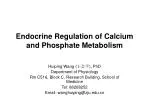 PPT - Calcium Metabolism and Hypocalcemia PowerPoint Presentation, free ...