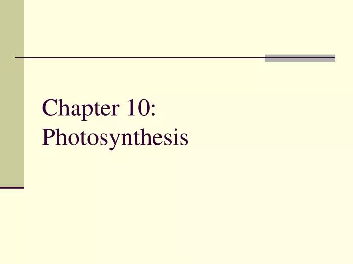 chapter 10 photosynthesis