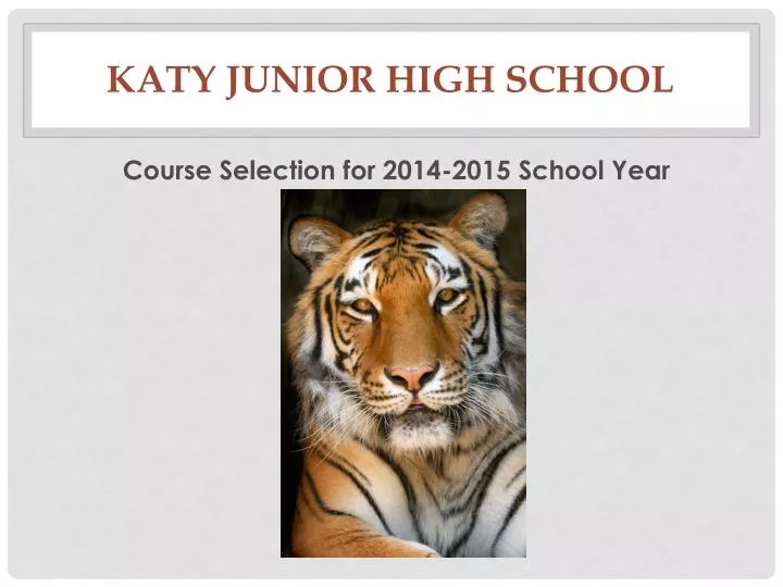 katy junior high school