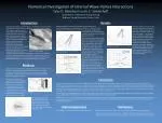 Investigation of Internal Wave Interaction with Vortex Dipoles: Insights from Numerical Simulations - slide 1