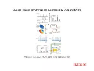 JR Erickson et al. Nature 000 , 1-5 (2013) doi:10.1038/nature12537