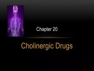 Cholinergic Drugs