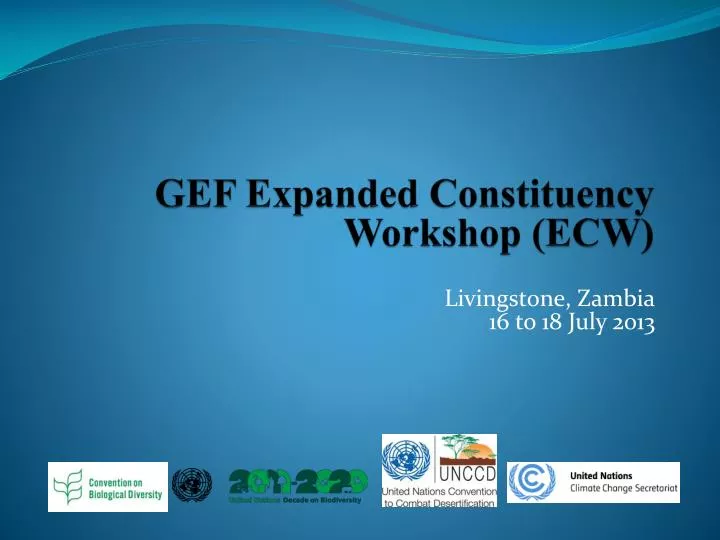 gef expanded constituency workshop ecw
