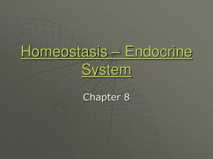 homeostasis endocrine system