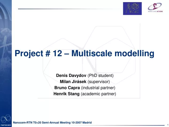 project 12 multiscale modelling