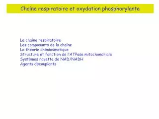 cha ne respiratoire et oxydation phosphorylante