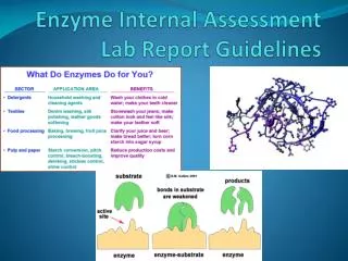 Enzyme Internal Assessment Lab Report Guidelines