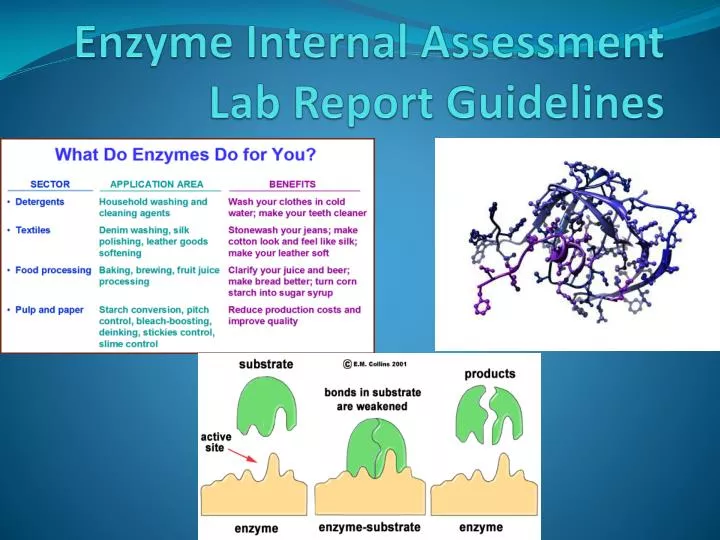 enzyme internal assessment lab report guidelines