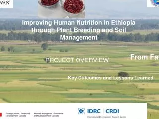 Improving Human Nutrition in Ethiopia through Plant Breeding and Soil Management