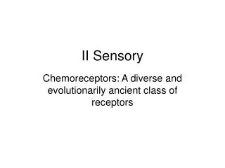 II Sensory