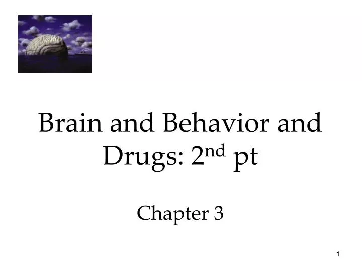 brain and behavior and drugs 2 nd pt chapter 3