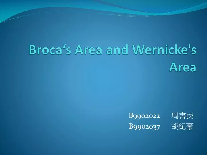 broca s area and wernicke s area