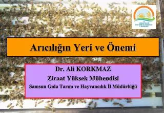 ar c l n yeri ve nemi