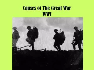causes of the great war wwi