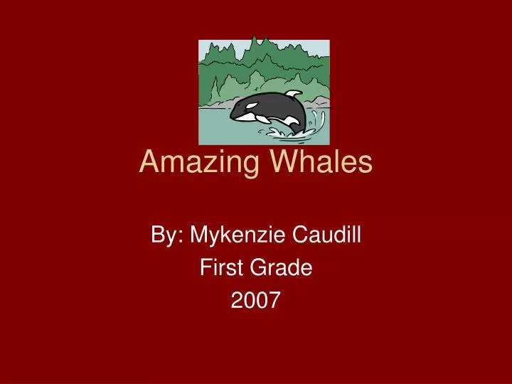 amazing whales