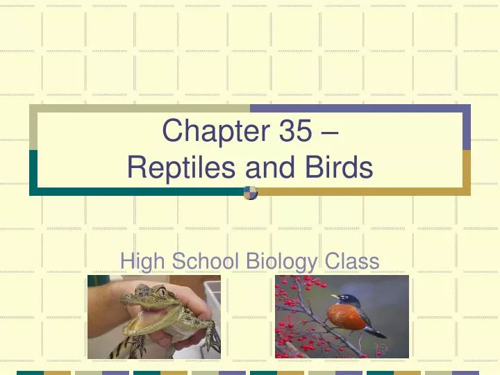 chapter 35 reptiles and birds