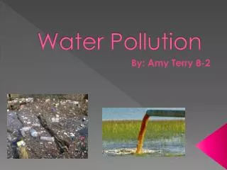 Water Pollution