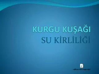 kurgu ku a i