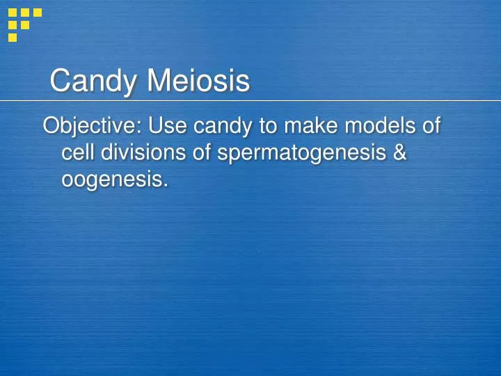 candy meiosis