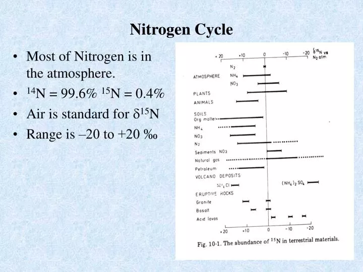 nitrogen cycle