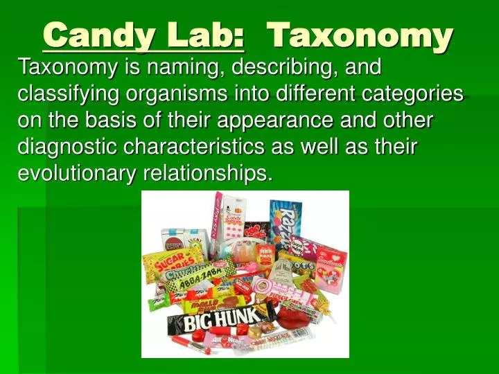 candy lab taxonomy