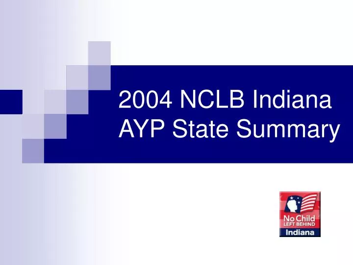 2004 nclb indiana ayp state summary