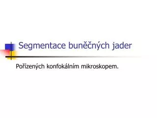segmentace bun n ch jader
